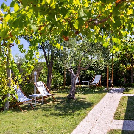 Aria Di Mare Vieste - Luxury Apartments By The Sea 外观 照片