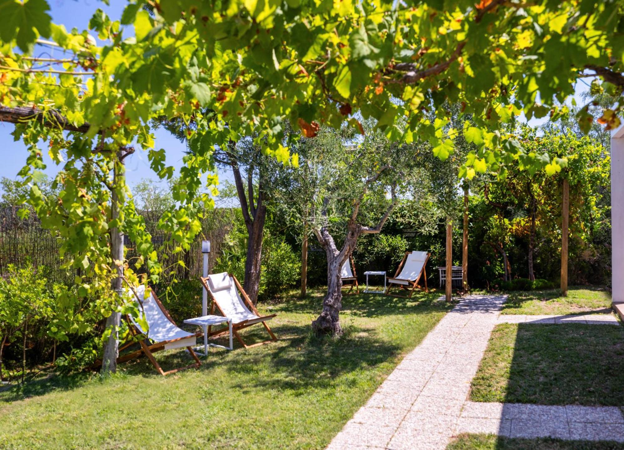 Aria Di Mare Vieste - Luxury Apartments By The Sea 外观 照片